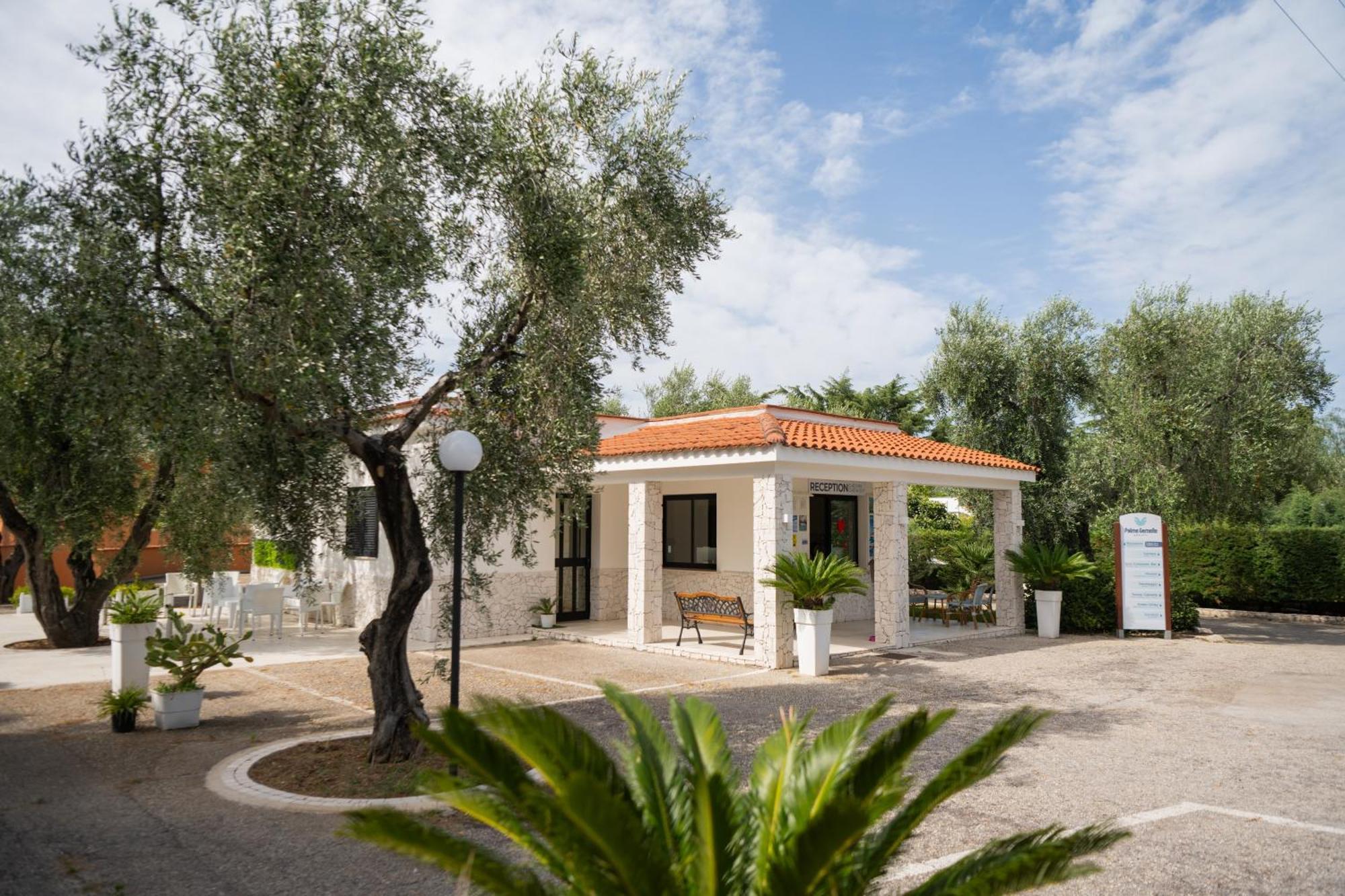 Hotel Palme Gemelle Vieste Exterior photo